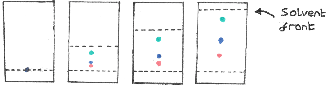 chromatography-revise-im