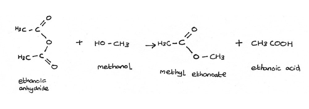 anhydride_ester