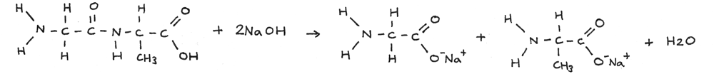 Alkaline hydrolysis