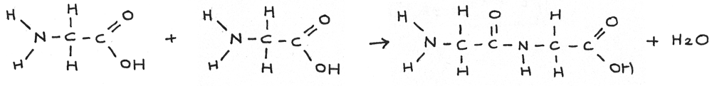 Condensation reaction