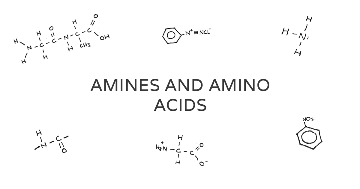 Amines And Amino Acids - Revise.im