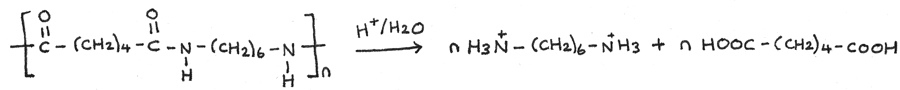 Hydrolysis of polyamine by acid hydrolysis.