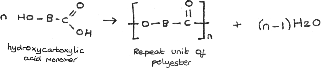 General formation of polyester from the same monomer unit.